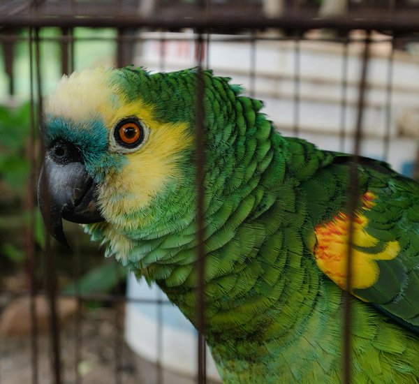 Bugs et fashion : la tendance des bijoux insectes